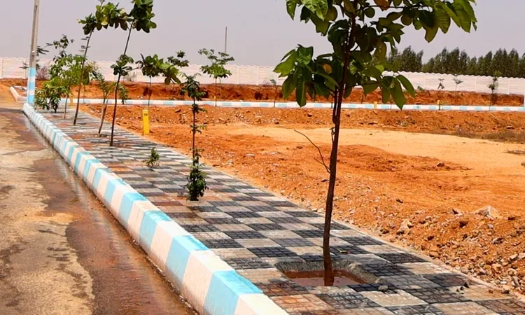 Open Plots In Shadnagar , DTCP Approved Plots in Shadnagar Town , Open Plots near Shadnagar Town