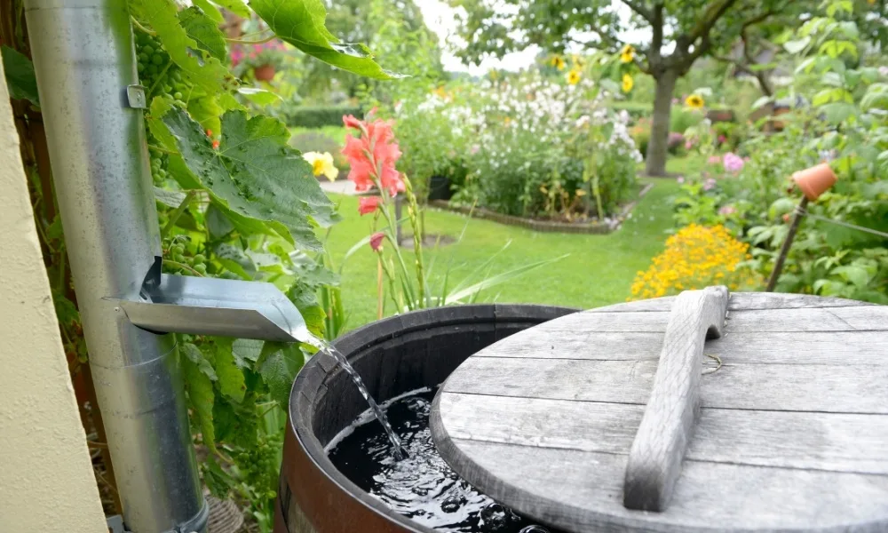 Rainwater Harvesting Pits in Eeshanya Heights- Open Plots in Shadnagar town